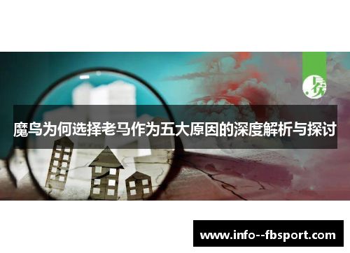 魔鸟为何选择老马作为五大原因的深度解析与探讨