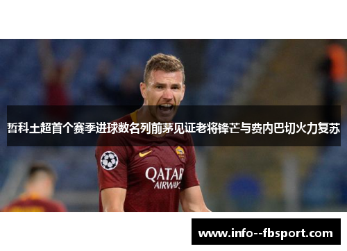 哲科土超首个赛季进球数名列前茅见证老将锋芒与费内巴切火力复苏